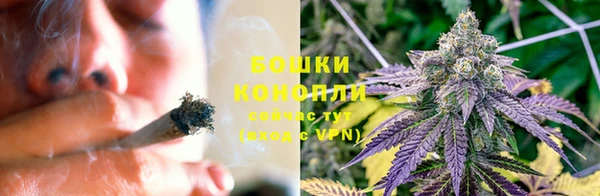 стафф Гусев