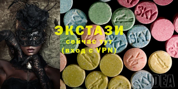 стафф Гусев