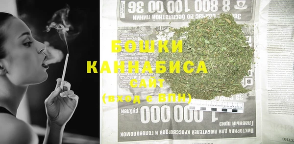 2c-b Горно-Алтайск