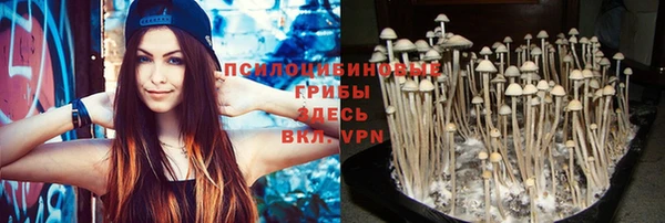 a pvp Горнозаводск