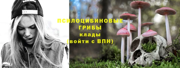 2c-b Горно-Алтайск