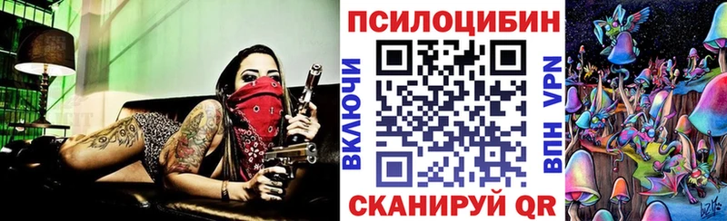 Галлюциногенные грибы Psilocybe  Купить закладки  Канаш 