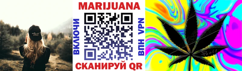Бошки марихуана индика  Купить закладки  Канаш 